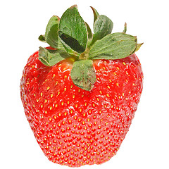 Image showing Fruits isolated