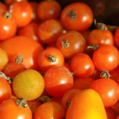 Image showing Tomatoes picture