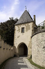 Image showing Castle door.