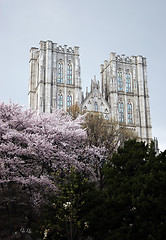 Image showing Beautiful old cathedral