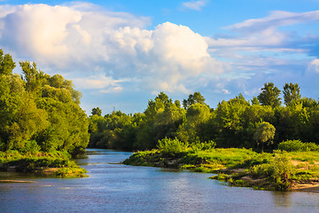 Image showing View Of A River And The Forest