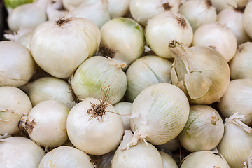 Image showing White onions crop. Background