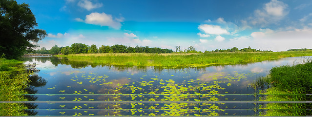 Image showing View On The Bog. Grass And Water.