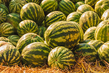 Image showing Watermelons were piled up