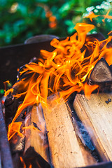 Image showing Wood On Fire