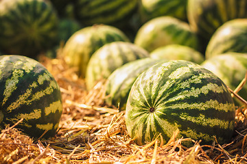 Image showing Watermelons were piled up