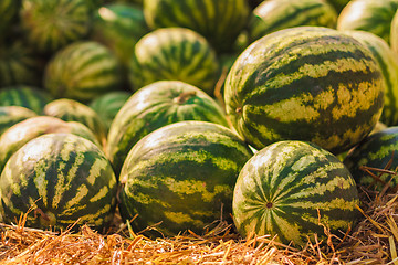 Image showing Watermelons were piled up
