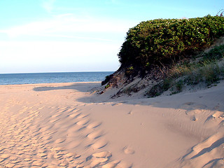 Image showing Sunny beach