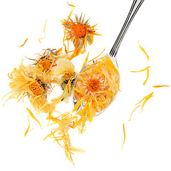 Image showing Calendula Flowers