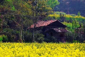 Image showing Rural landscape in wuyuan county, jiangxi province, china.