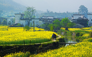 Image showing Rural landscape in wuyuan county, jiangxi province, china. 