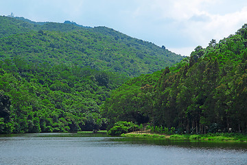 Image showing Landscape of trees with reflection on lake under blue sky. 