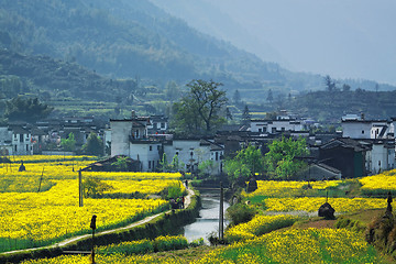 Image showing Rural landscape in wuyuan county, jiangxi province, china. 
