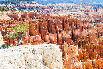 Image showing Bryce Canyon