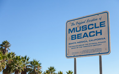 Image showing Muscle Beach