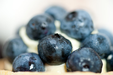 Image showing blueberry cream cupcake