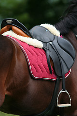 Image showing Saddle