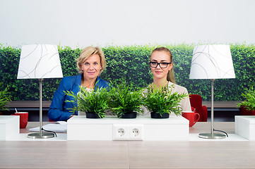 Image showing Confident Female Environmentalists Sitting At Desk