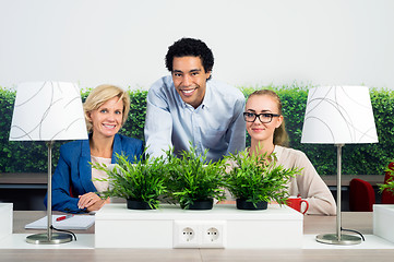 Image showing Portrait Of Confident Environmentalists In Office