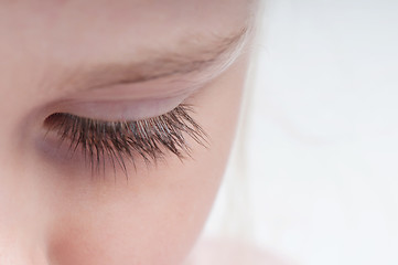 Image showing Closeup shot of eyelash