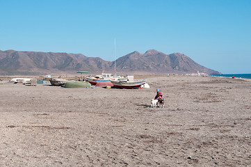 Image showing Small girl playing