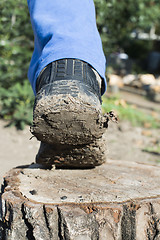 Image showing Hiking shoes