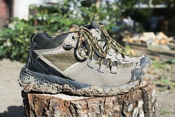 Image showing Hiking shoes