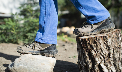 Image showing Hiking shoes