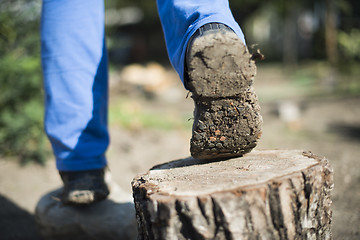 Image showing Hiking shoes