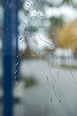 Image showing Cracked glass