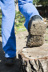 Image showing Hiking shoes