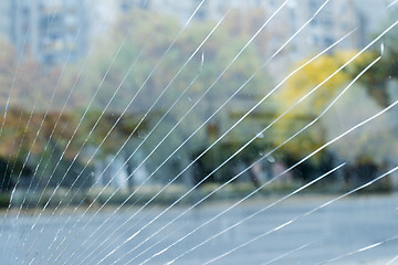 Image showing Cracked glass