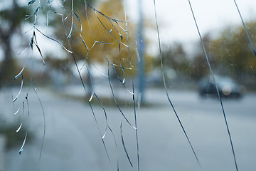 Image showing Cracked glass