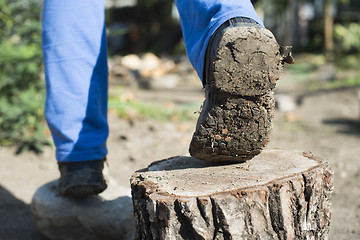 Image showing Hiking shoes