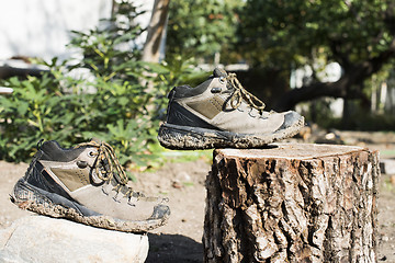 Image showing Hiking shoes