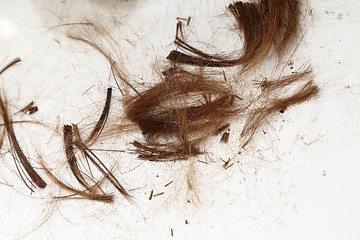 Image showing Cut Hair