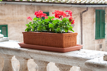 Image showing Flower pot on the balcony