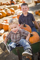 Image showing Two Little Boys Playing in Wheelbarrow at the Pumpkin Patch
