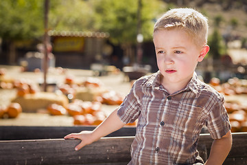 Image showing Little Boy Standing Against Old Wood Wagon at Pumpkin Patch
