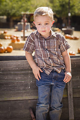 Image showing Little Boy With Hands in His Pockets at Pumpkin Patch
