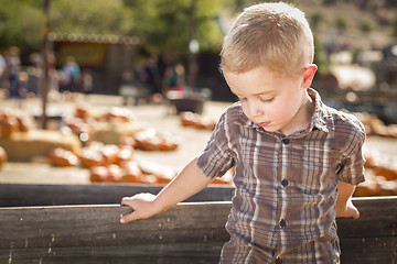 Image showing Sad Boy at Pumpkin Patch Farm Standing Against Wood Wagon
