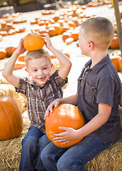 Image showing Two Boys at the Pumpkin Patch Talking and Having Fun
