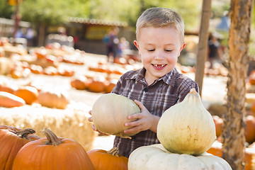 Image showing Little Boy Gathering His Pumpkins at a Pumpkin Patch
