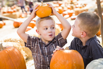 Image showing Two Boys at the Pumpkin Patch Talking and Having Fun
