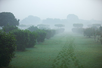 Image showing Park in India - Mehtab Bagh. 