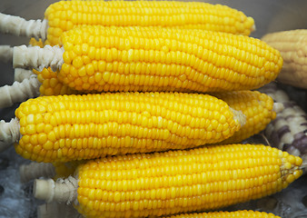 Image showing Boiled corn cobs on the market