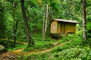 Image showing Wooden small house in a tropical forest