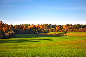 Image showing autumn landscape with trees and field