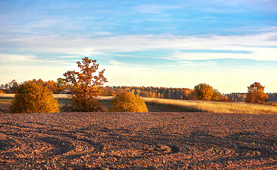 Image showing autumn landscape