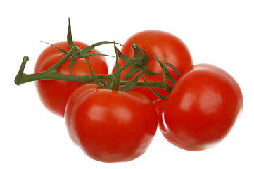 Image showing Tomatoes # 02